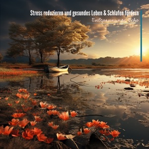Stress reduzieren und gesundes Leben & Schlafen fördern