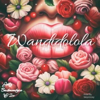 Wandidolola (feat. Badmon Dyce & VJ ICE) - Single - Jillz