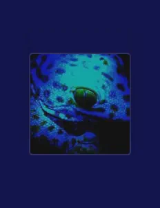 Listen to Echogecko, watch music videos, read bio, see tour dates & more!