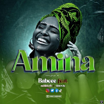 Amina (feat. Sekktoh zoolian & Tinovic) - Single
