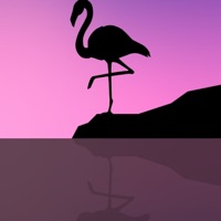 Rooftop (feat. YunoMiles) - Single - Prince DJayy