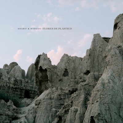 Flores de Plástico - Single