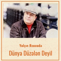 Dünya Düzələn Deyil - Single - Yalçın Rzazadə