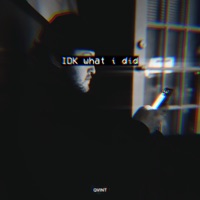 Idk What I Did - Single - Qvint