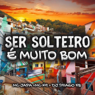 Ser Solteiro É Muito Bom - Single