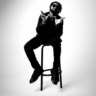 Wonfitemaamli (Shutdown the City) (feat. Boydoe) - Single