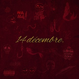 14 Décembre, part.4 K8 Skelet