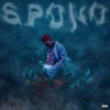 Spoko (feat. King Callo) [Radio Edit] - Single