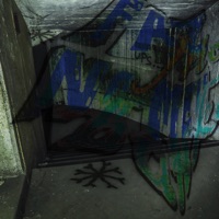 Faz Frio no Meu Bunker - Single - Shawtydias