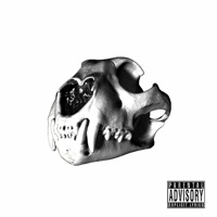 Cheetah - Single - Rememberbuddha