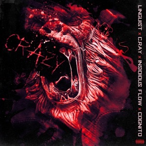 Crazy (feat. C.Ray, Insidious Flow & Cognito)