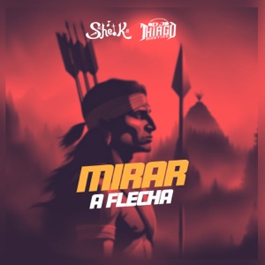 Mirar a Flecha (feat. DJ Thiago Martins)