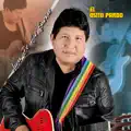 Osito Pardo