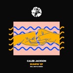 Bumpin' (DIM FLO Remix) - Single