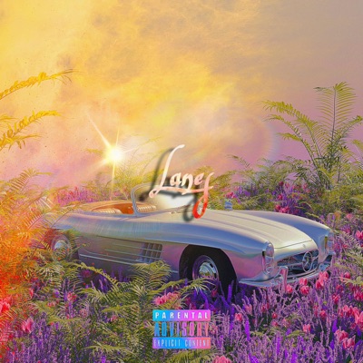 Lanes - Single