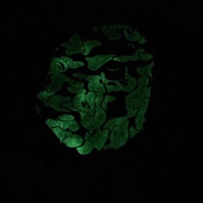 Speak From The Mind - Single