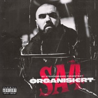 Organisiert - Single - Sa4