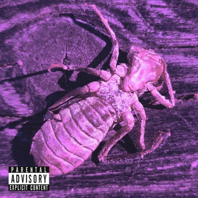 Wizi, Wizi - Single