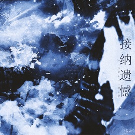 接纳遗憾 (伴奏) ZQS