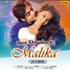 Mere Khayalon Ki Malika (Lo - Fi Remix) - Single