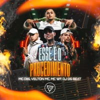 Esse é o Procedimento (feat. MC WF) - Single - DJ DG BEAT, Velton Mc & MC Diig