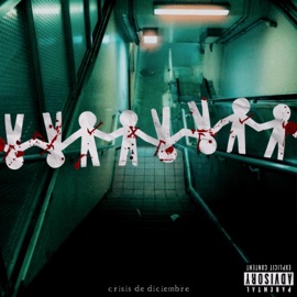 Crisis de Diciembre Those Bitches!