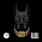 FEROZ - Barry Beatz lyrics