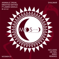 Shalimar (Dr Feel Remix) - Single - Kreative Nativez, Animalic Drum & Dr. Feel