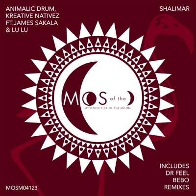 Shalimar (Dr Feel Remix) - Single