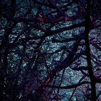 NorthWood Beats Volume II - Northwood