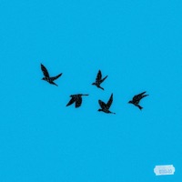 La Det Gå (feat. Adrian Johnsen & Ewezy) - Single - 0183