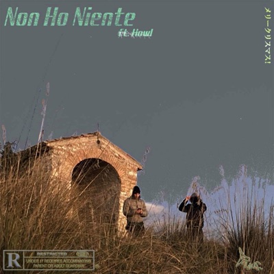 Non ho niente (feat. Howl) - Single