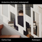 Andantino (Schubert redesigned) artwork