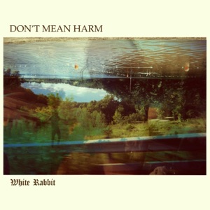 Don't Mean Harm - Single