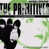 The Primitives