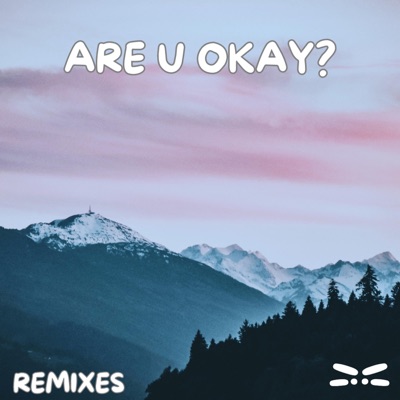 Are U Okay? (Remixes)