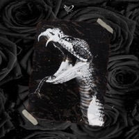 Fairfax and Melrose (feat. River Beats) - Single - ill Nicky
