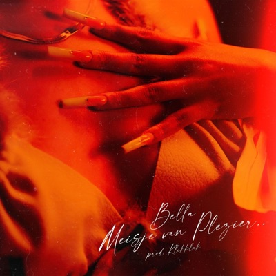 Meisje Van Plezier - Single