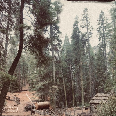 Views (feat. Yung Trunkz) - Single