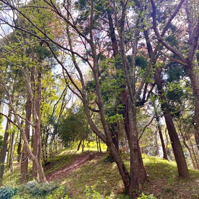 Ya Ya Ya Ya (feat. michaelwarren) - Single