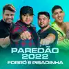Os Barões da Pisadinha & Xand Avião - Só Foi Beber pra Lembrar