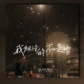 我期待的不是雪(而是有你的冬天) [DJ阿卓版] artwork