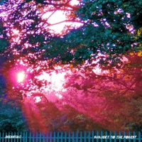 Midnight Lines - Single - Dienstag