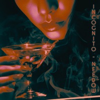 Incognito - Single - Needow