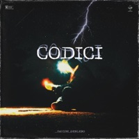Codici - Single - Davide Gerlero