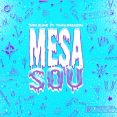Mesa Sou artwork