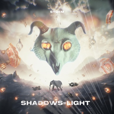 Shadows = Light - Single