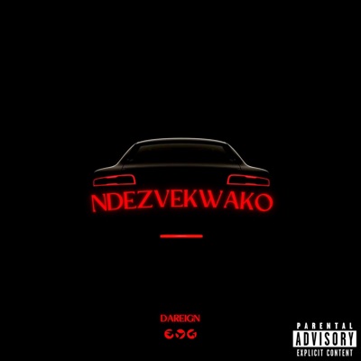 Ndezvekwako - Single