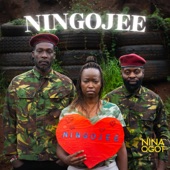 Ningojee artwork