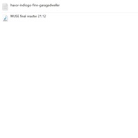 Muse (feat. Indiogo, STARFALL & Garage Dweller) - Single - Haxor